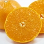 「柑橘の大トロ」とろける食感の希少品種”せとか”提供中！